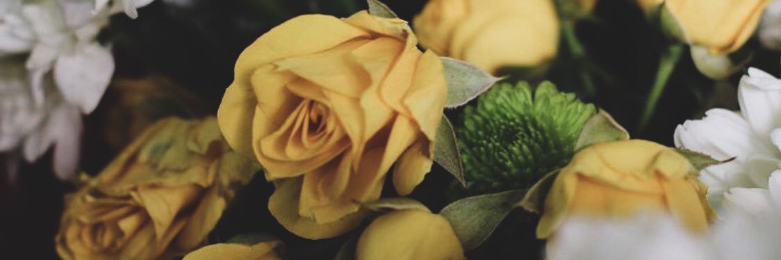 meyam08's profile banner image