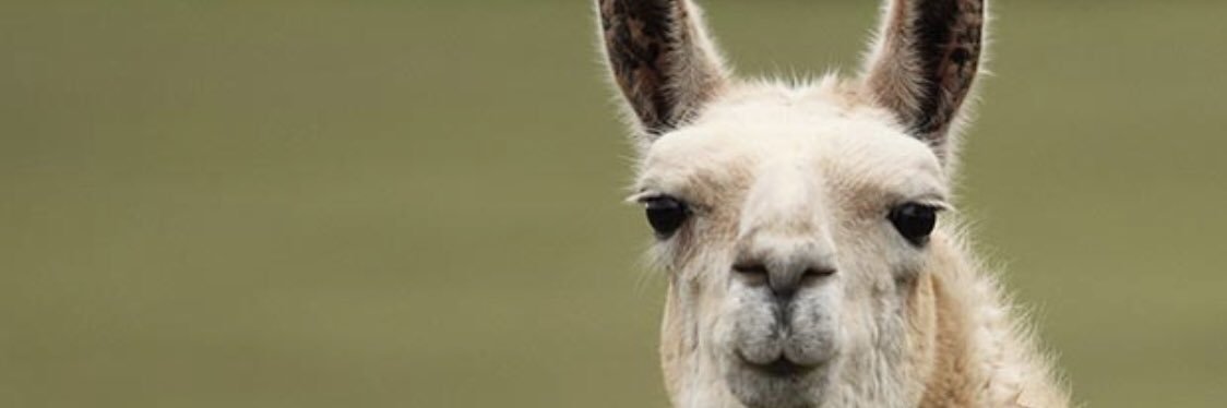 mich banner