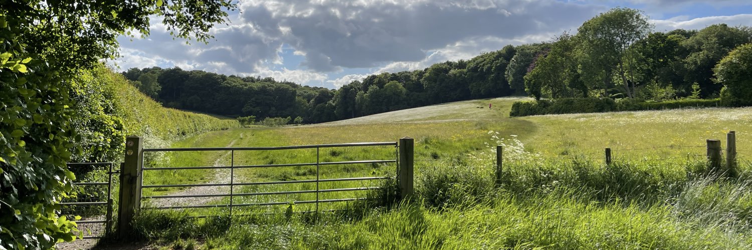 Clare Dowding banner