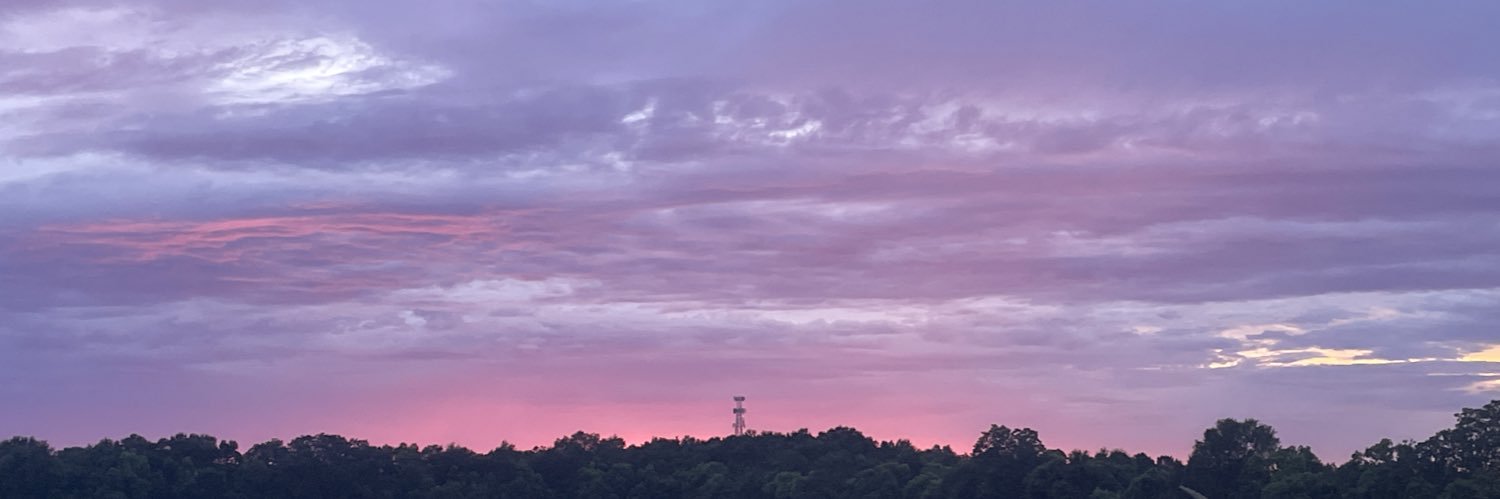 nonxsecure's profile banner image