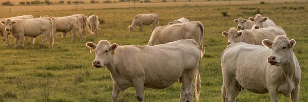 museumsailor Profile Banner