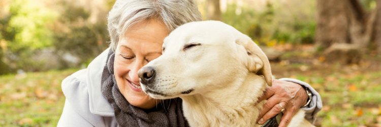 I Love my dog banner