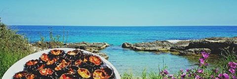 lapupetta11's profile banner image