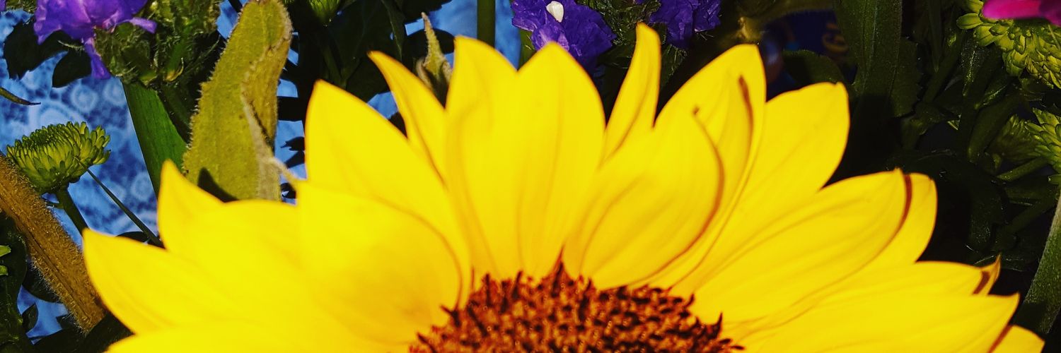 keely_denton's profile banner image