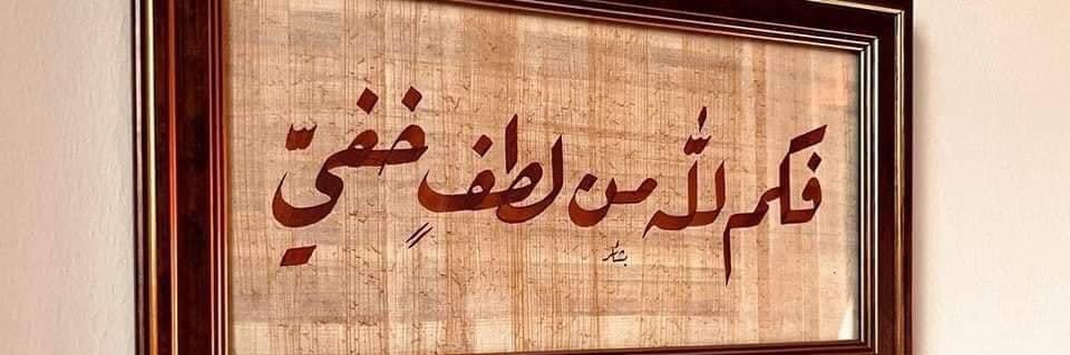 alielgamal700's profile banner image