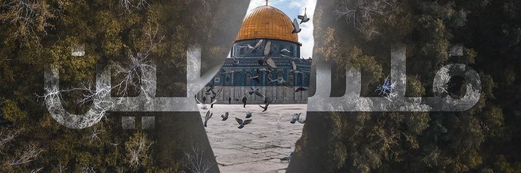 USMANAFZALBUTT's profile banner image