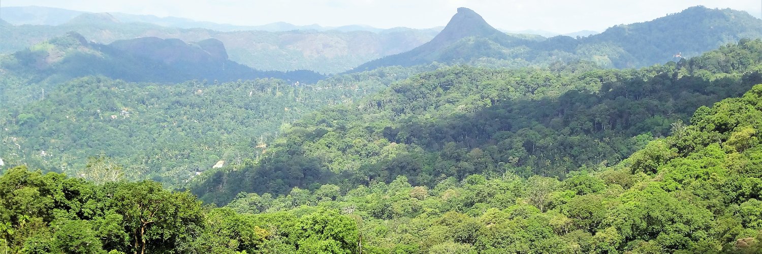 niruleena's profile banner image