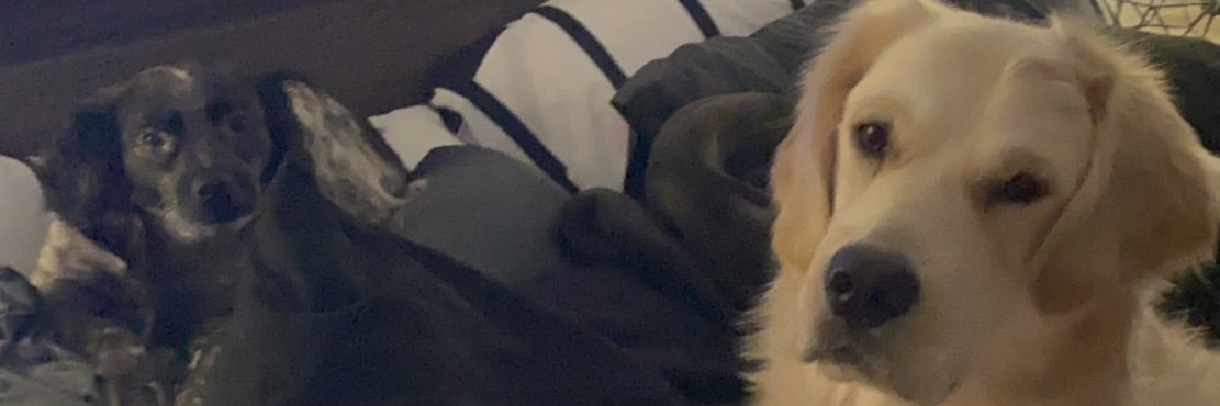EricGar97's profile banner image