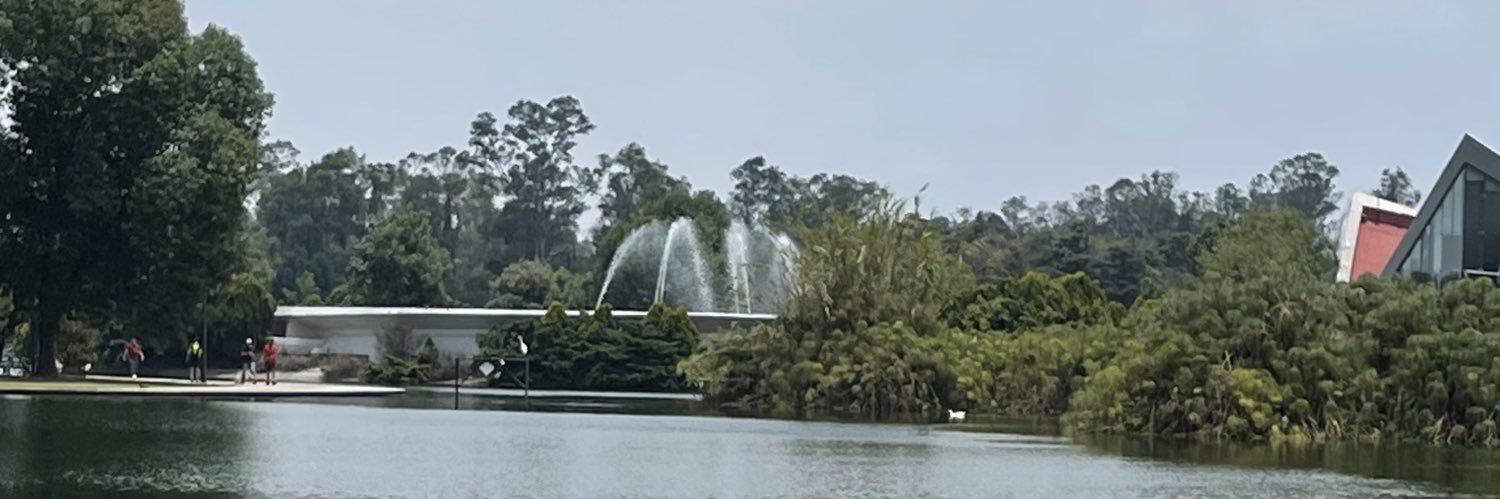 AlexanderGaya's profile banner image