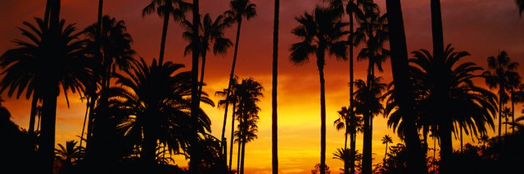PaigeLee05's profile banner image