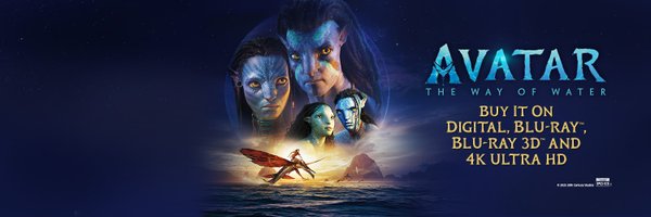Avatar Profile Banner