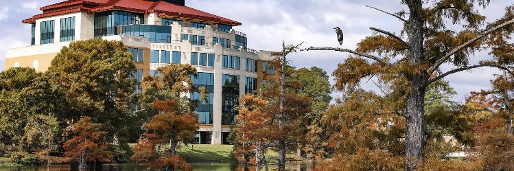 EricBishop545's profile banner image