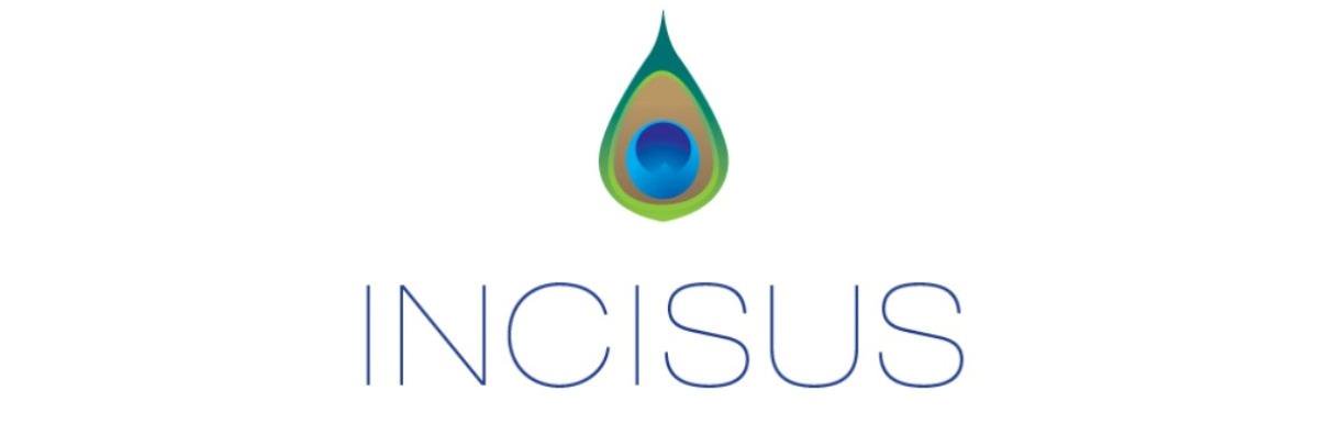 Incisus Group banner