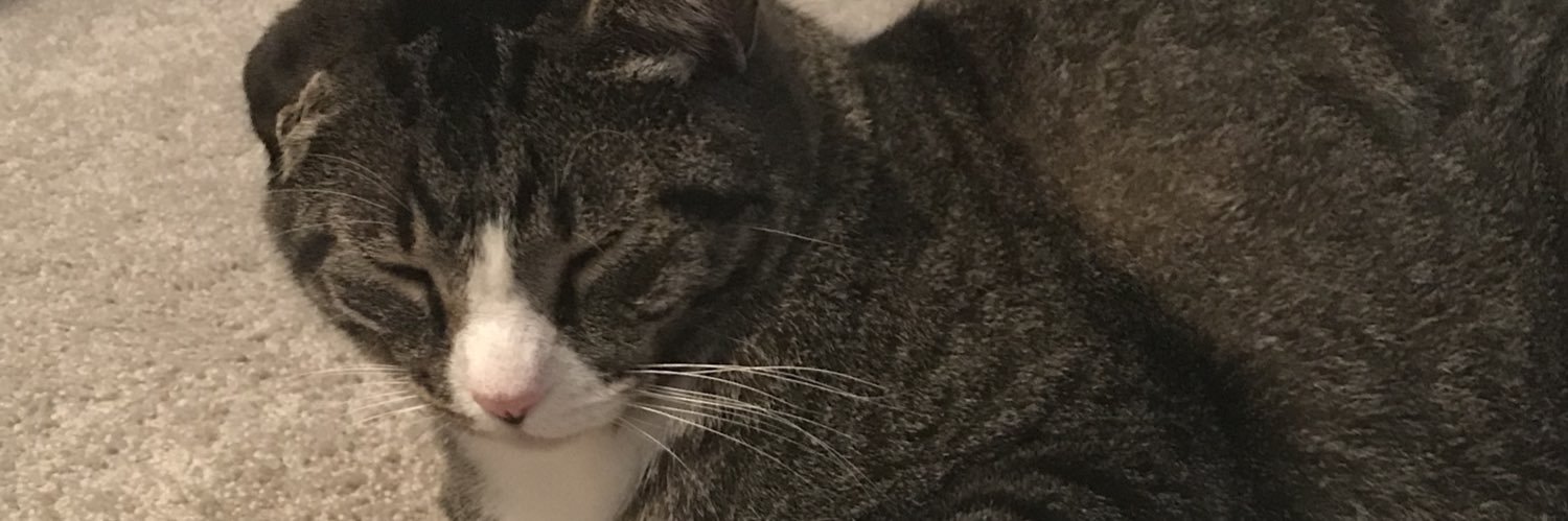 taylorflayer's profile banner image
