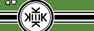 brnidevl's profile banner image