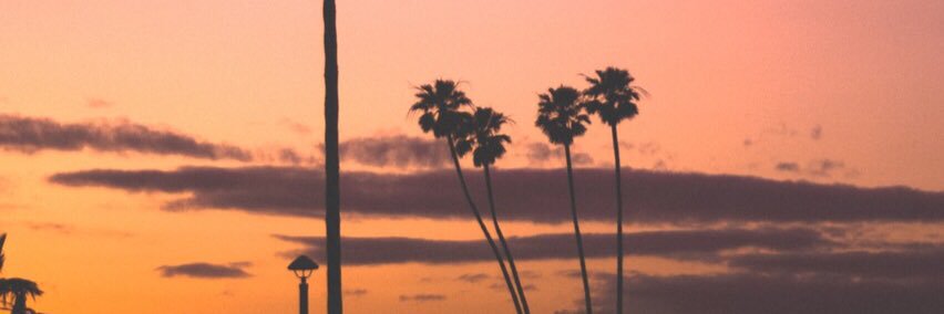 Abby Wright banner