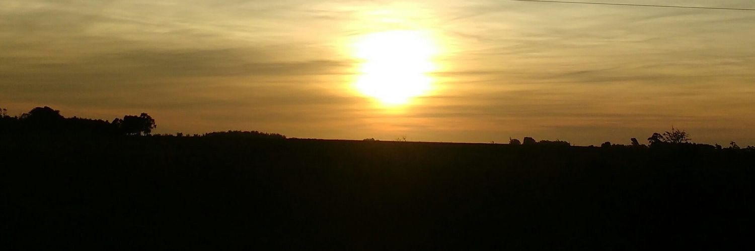 danirochab's profile banner image