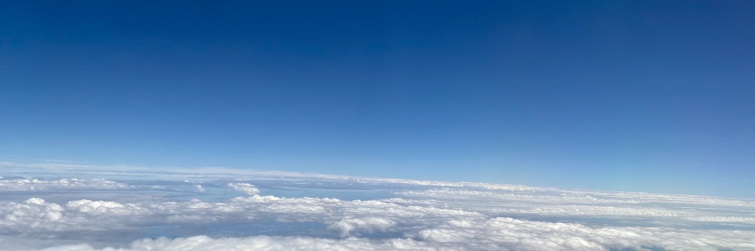 Flowerchile11's profile banner image