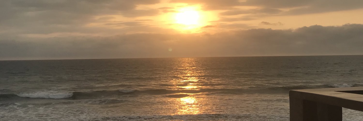 Luisa T Willson banner