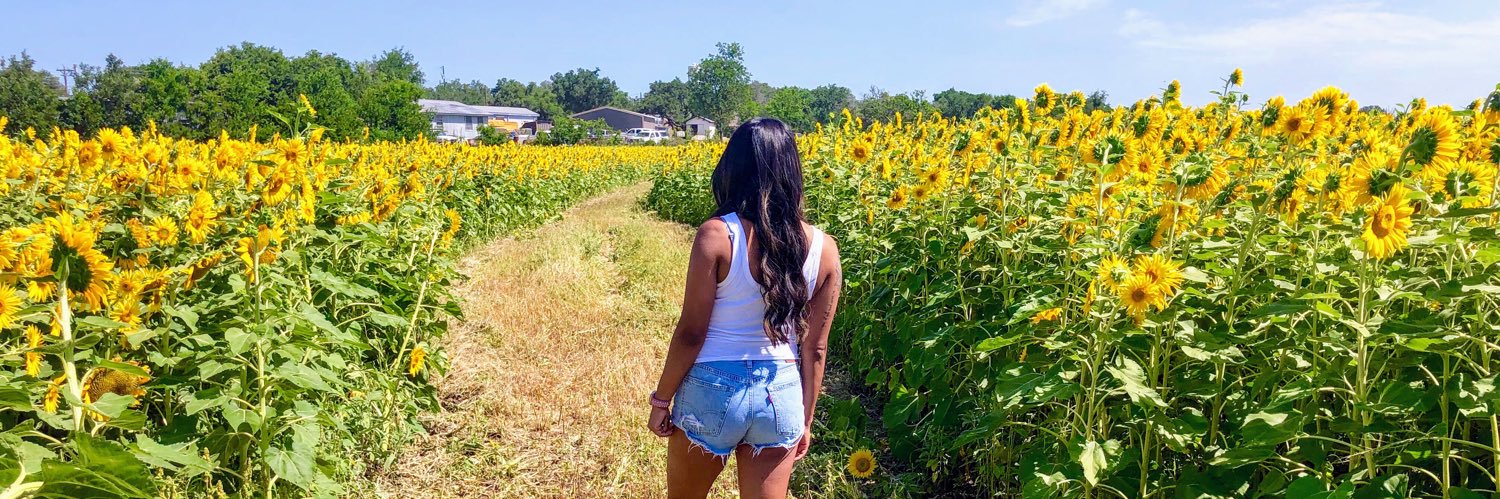 lyyndaa_'s profile banner image