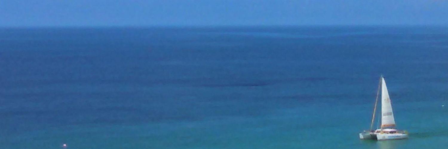 lexicloo's profile banner image