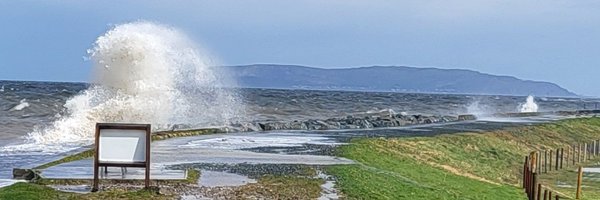 GriffithsPedro Profile Banner