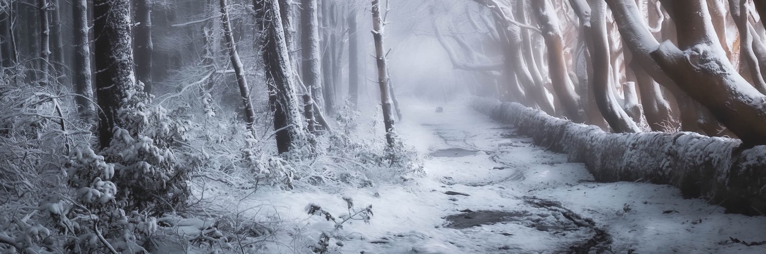 Andy Gray Photography banner