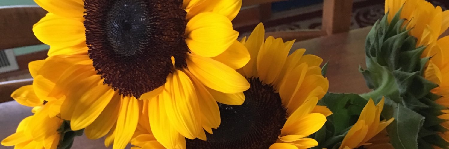 MissySolonos's profile banner image