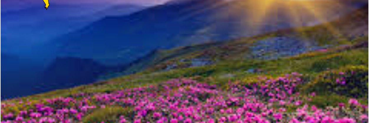 ilyasoz24's profile banner image