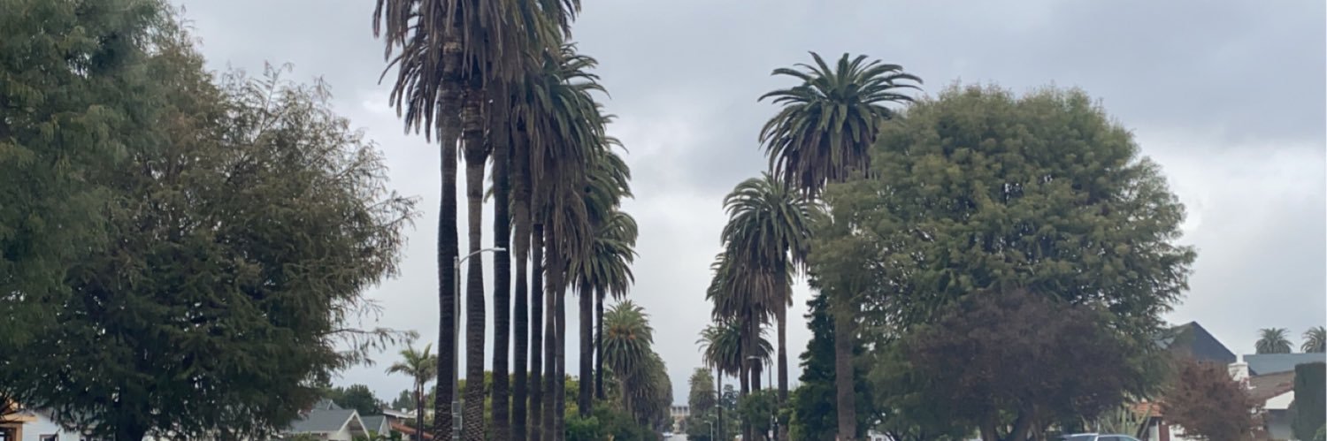 Taryn_Chapman's profile banner image