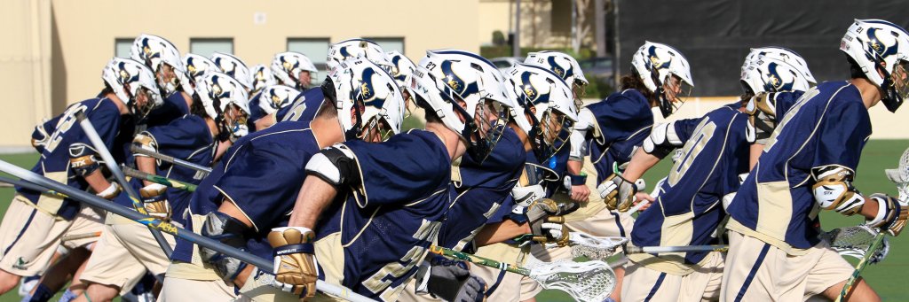 LCC MENS LACROSSE banner