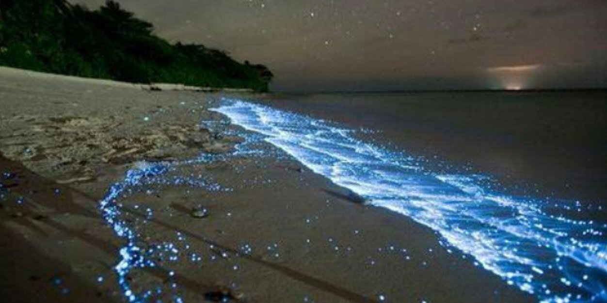 Rude_Girl_Gabi✌ banner