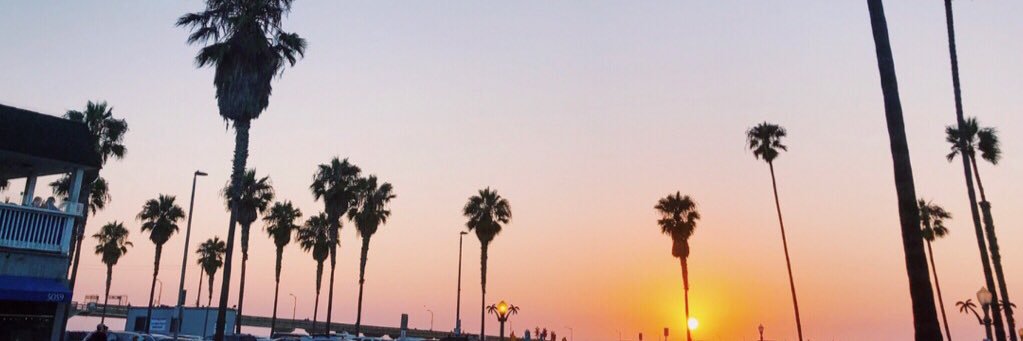 Bui banner