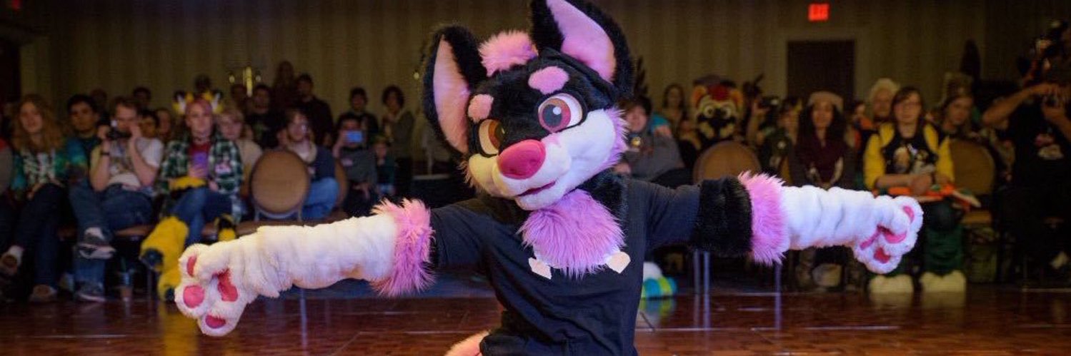 PixxHusky's profile banner image