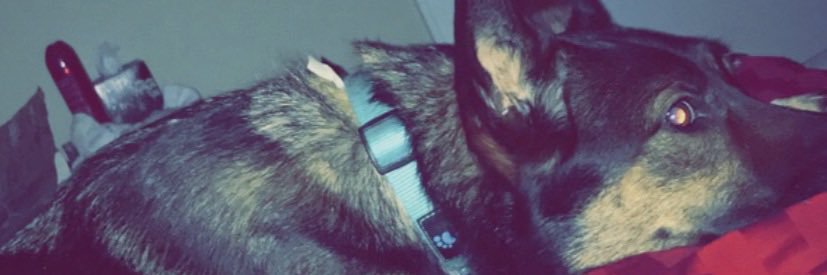 TulioRamirez_2's profile banner image