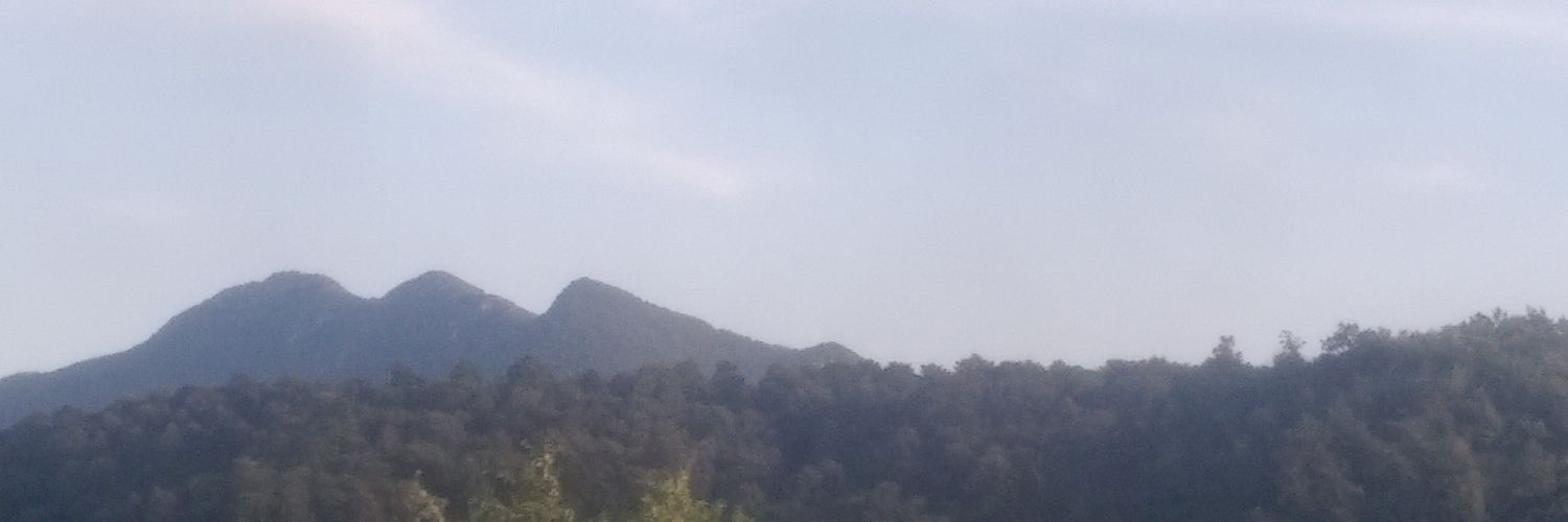 Malimaliss's profile banner image