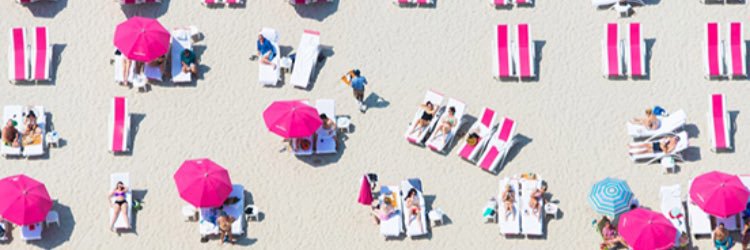 Tory Banknell banner