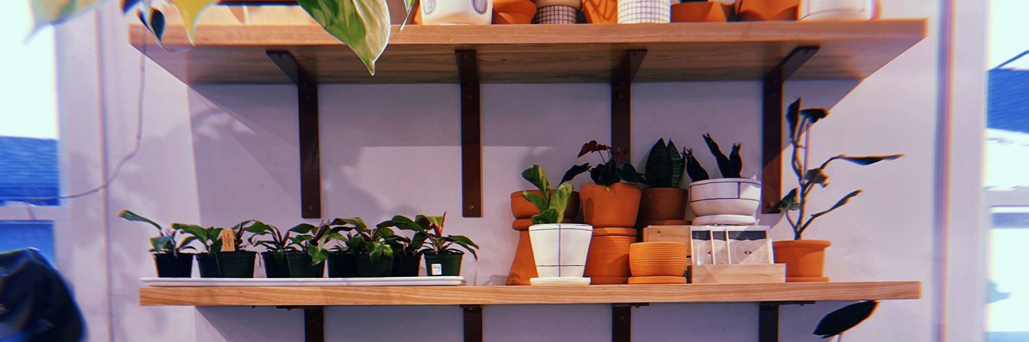 OhhhHeyBrii's profile banner image