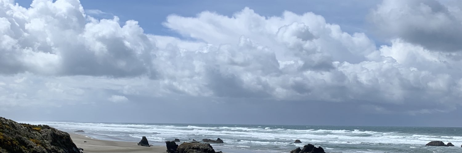 BrandiLuiz's profile banner image