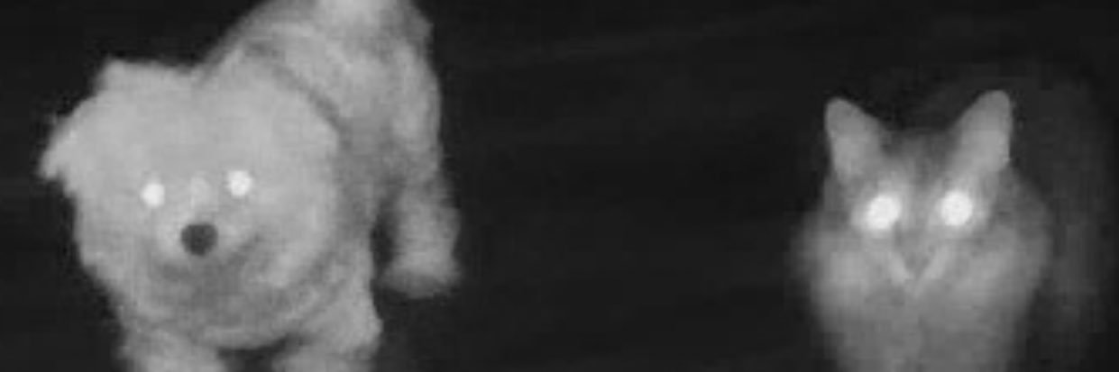 hailsld's profile banner image