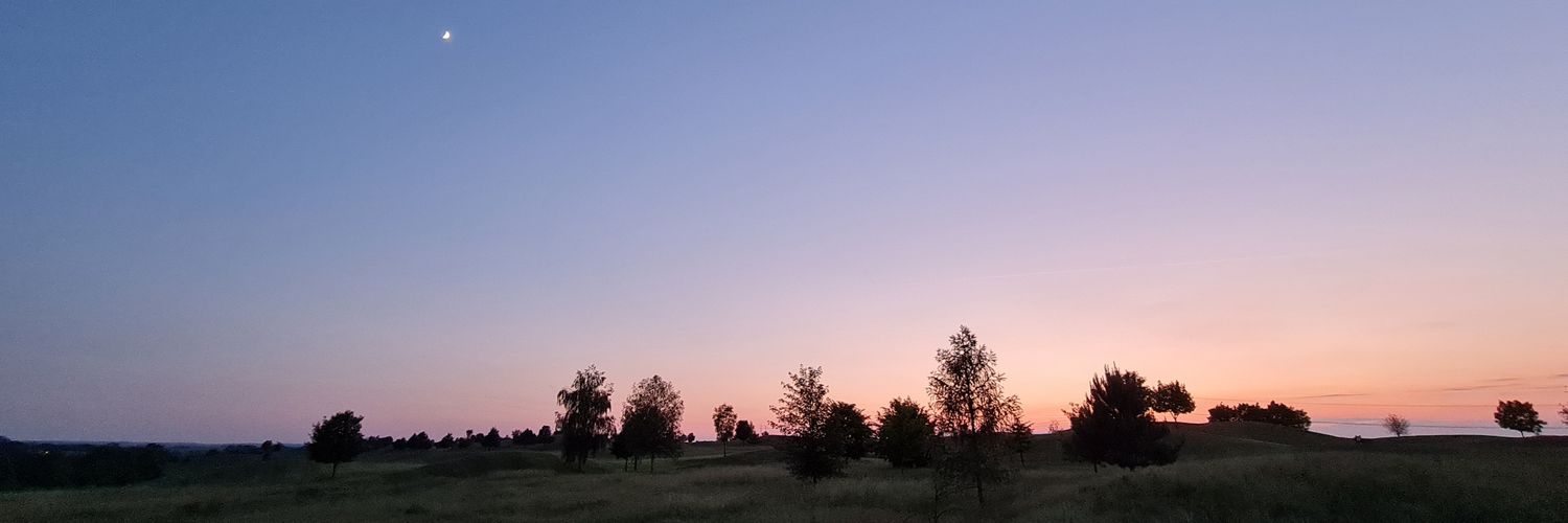real_majkl's profile banner image
