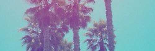 Luis Aguilar banner