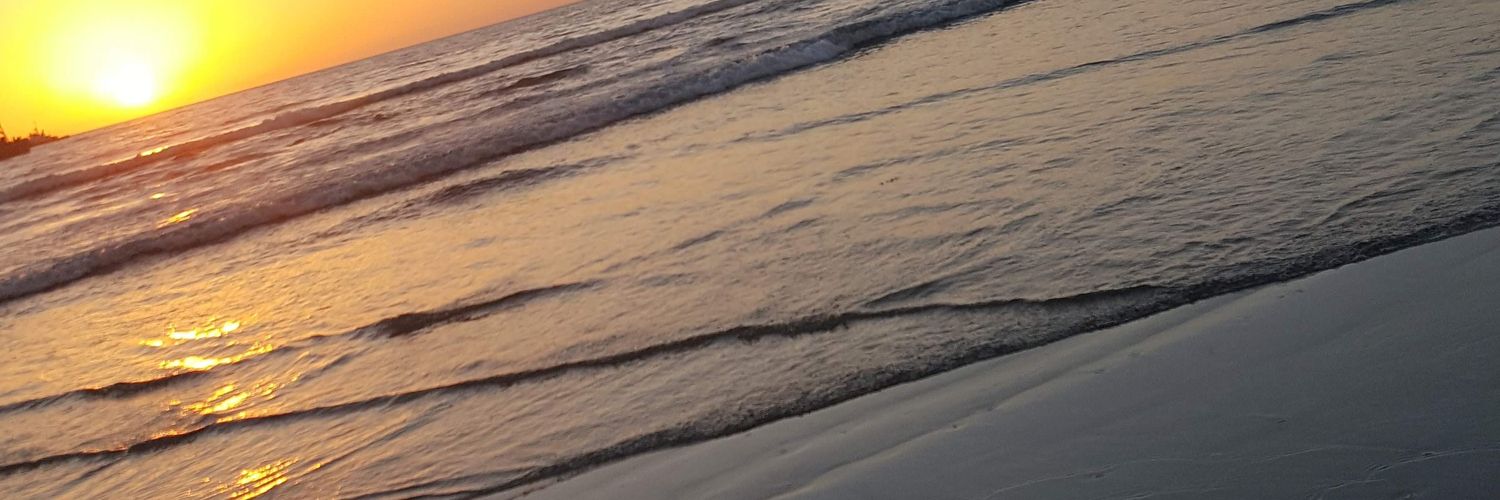 WENDYJENELLE's profile banner image