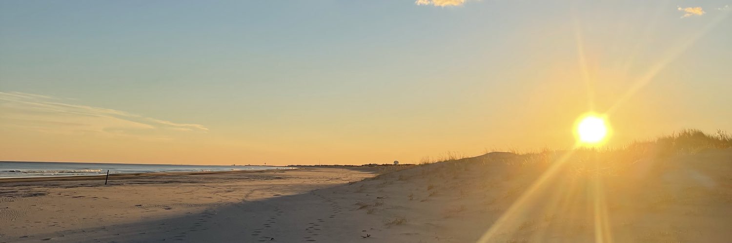 Mike Bird banner