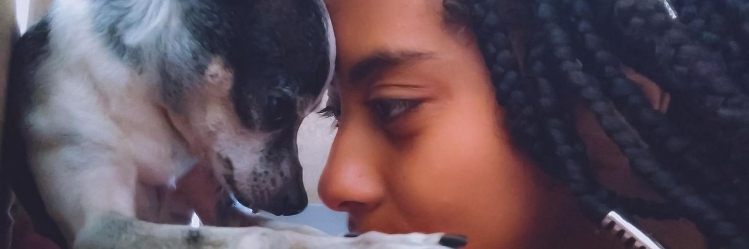 Sarahsollino's profile banner image