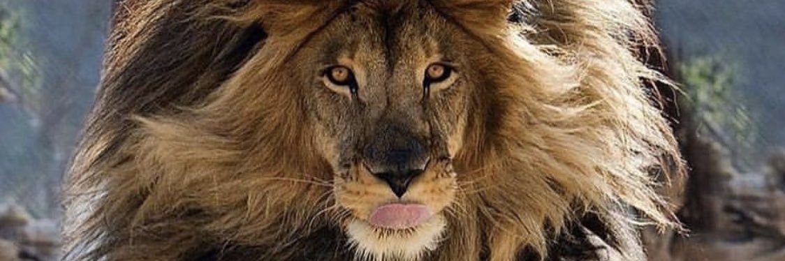longshotparlayy's profile banner image