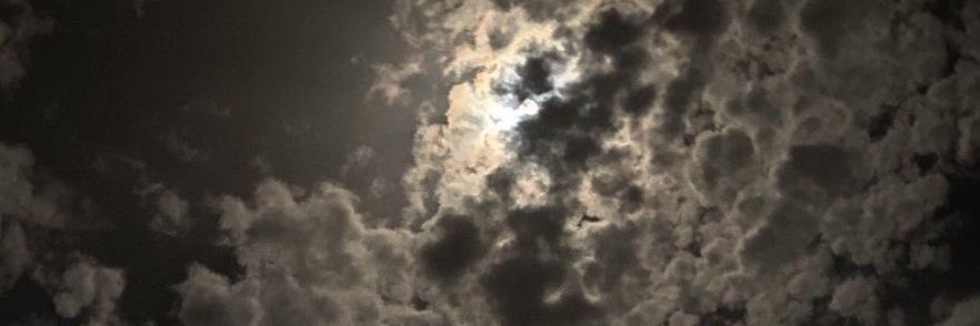 wafah233's profile banner image