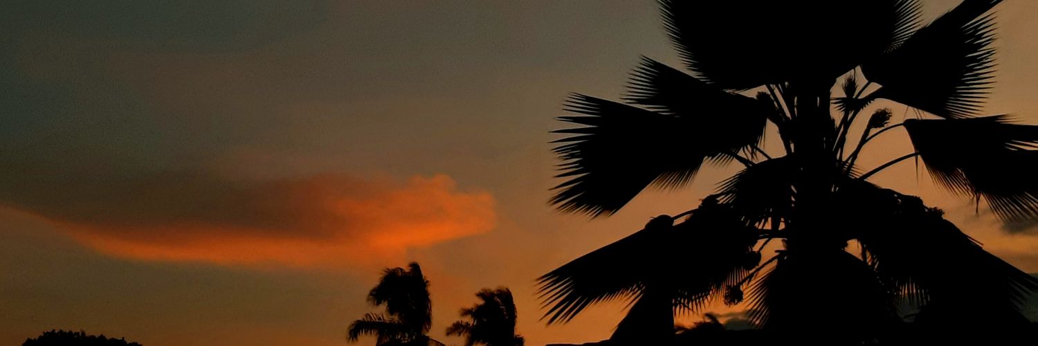 0531Serna's profile banner image