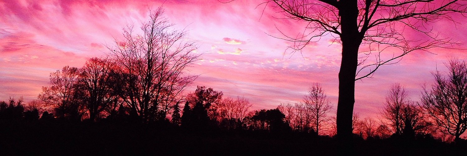 StevenSkorna's profile banner image