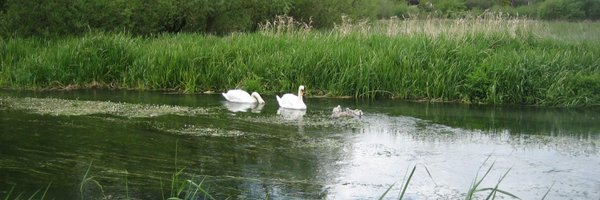 P_Rameshwaran Profile Banner